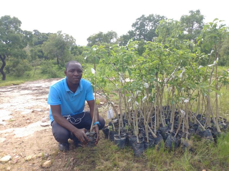 Marshal Papworth scholar helps reduce post-harvest losses to reduce food insecurity in Ghana